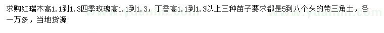 求購紅瑞木、四季玫瑰、丁香