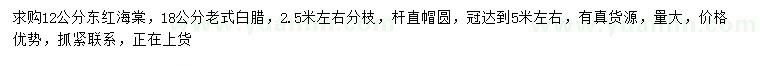 求購(gòu)12公分東紅海棠、18公分老式白臘