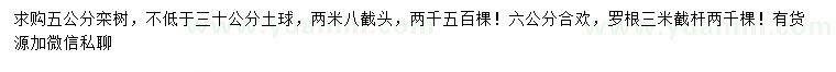 求購5公分欒樹、6公分合歡