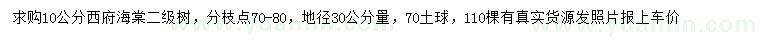 求購地徑30公分量10公分西府海棠