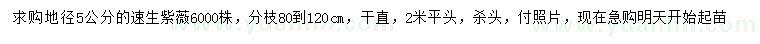求購(gòu)地徑5公分速生紫薇
