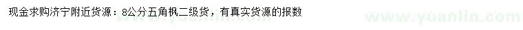 求購8公分五角楓