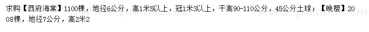 求購地徑6公分西府海棠、7公分晚櫻