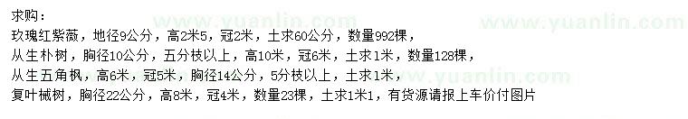 求購玖瑰紅紫薇、叢生樸樹、叢生五角楓等