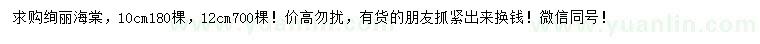 求購10、12公分絢麗海棠