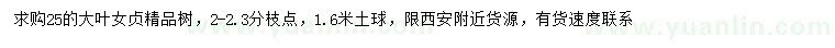 求購25公分大葉女貞