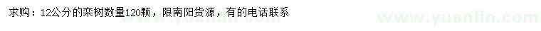 求購12公分欒樹