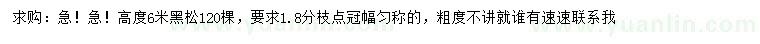 求購高6米黑松