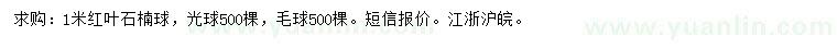 求購1米紅葉石楠球
