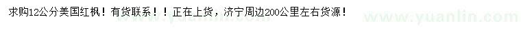 求購12公分美國紅楓