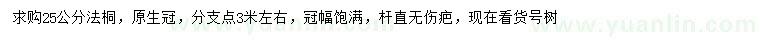 求購(gòu)25公分法桐