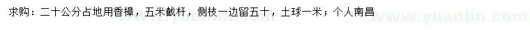 求購20公分占地香樟
