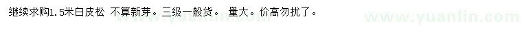 求購1.5米白皮松