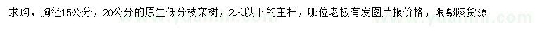 求購胸徑15、20公分欒樹