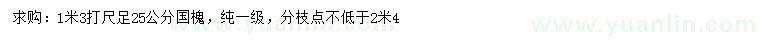 求購1.3米量25公分國槐