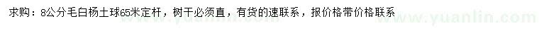 求購8公分毛白楊