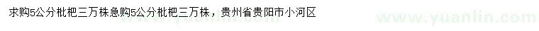 求購5公分枇杷