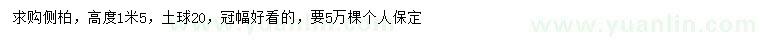 求購高1.5米側(cè)柏