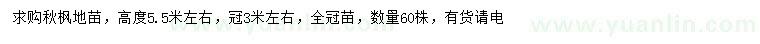 求購高5.5米左右秋楓地苗