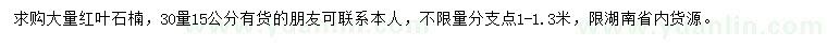 求購30公分量15公分紅葉石楠