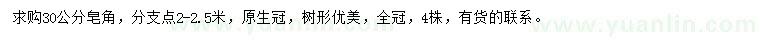 求購30公分皂角