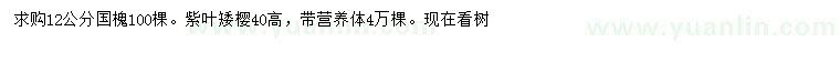 求購(gòu)12公分國(guó)槐、高40公分紫葉矮櫻