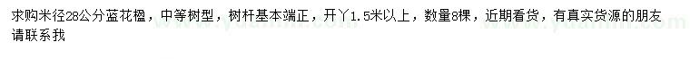 求購米徑28公分藍花楹