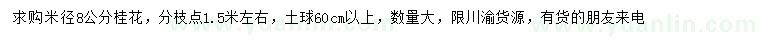 求購米徑8公分桂花