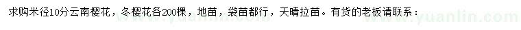求購米徑10分云南櫻花、冬櫻花