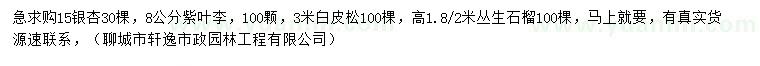 求購銀杏、紫葉李、白皮松等