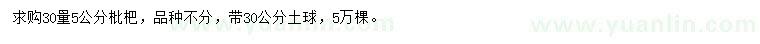 求購30量5公分枇杷