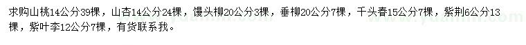 求購山桃、山杏、饅頭柳等