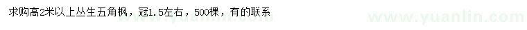 求購高2米以上叢生五角楓