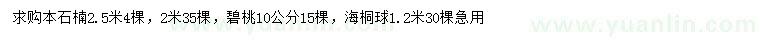 求購本石楠、碧桃、海桐球