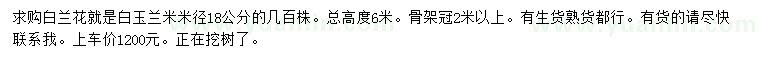 求購(gòu)米徑18公分白玉蘭米