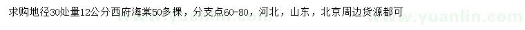 求購地徑30量12公分西府海棠