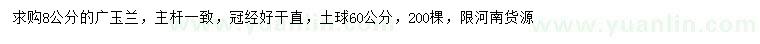 求購8公分廣玉蘭