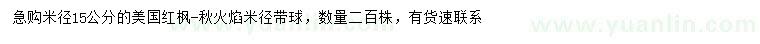 求購米徑15公分美國紅楓（秋火焰）