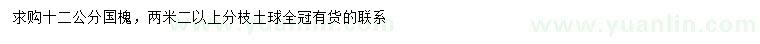 求購12公分國槐