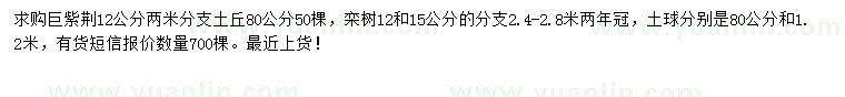 求購12公分巨紫荊、12、15公分欒樹