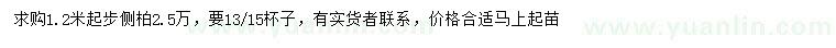 求購(gòu)1.2米起步側(cè)柏