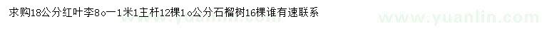 求購(gòu)18公分紅葉李、10公分石榴樹