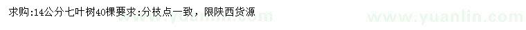 求購14公分七葉樹