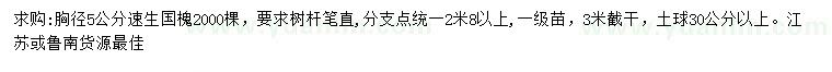 求購胸徑5公分速生國槐