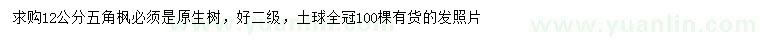 求購12公分五角楓