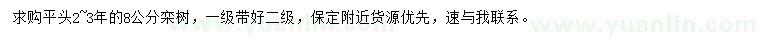 求購8公分欒樹