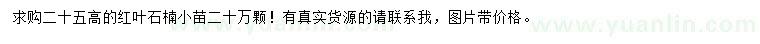 求購高25公分紅葉石楠