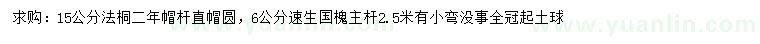 求購15公分法桐、6公分速生國槐