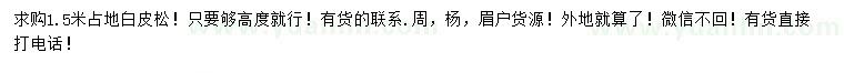 求購(gòu)1.5米占地白皮松