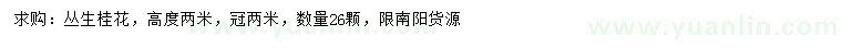 求購(gòu)高2米叢生桂花